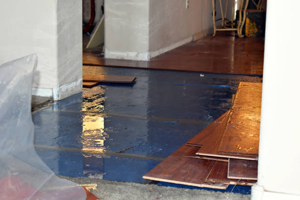 Professional Water Damage Restoration technician working in Bruceville, TX
